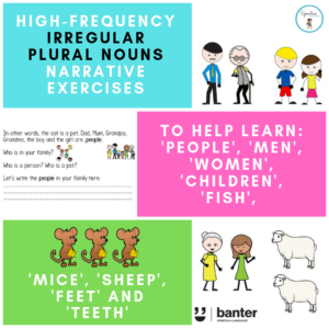 Irregular plural nouns