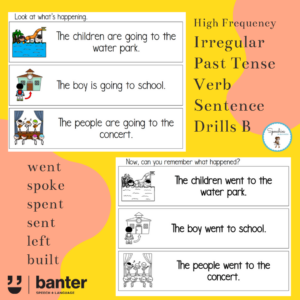 Irregular Past Tense Verb Sentence Drills B