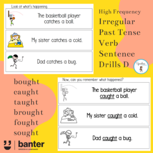 Irregular Past Tense Verb Sentence Drills D