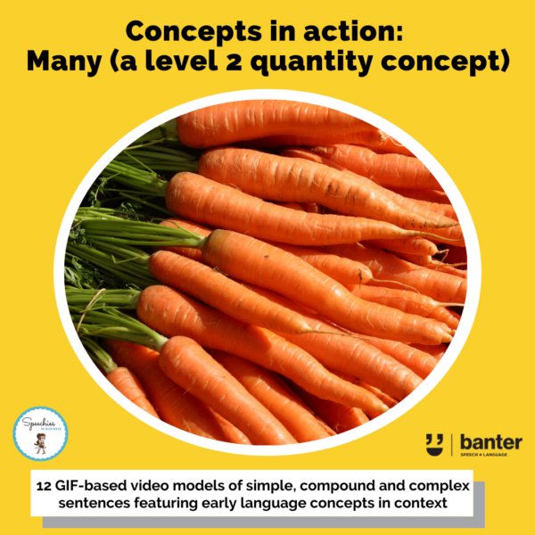 Concepts in Action Many A level 2 quantity concept